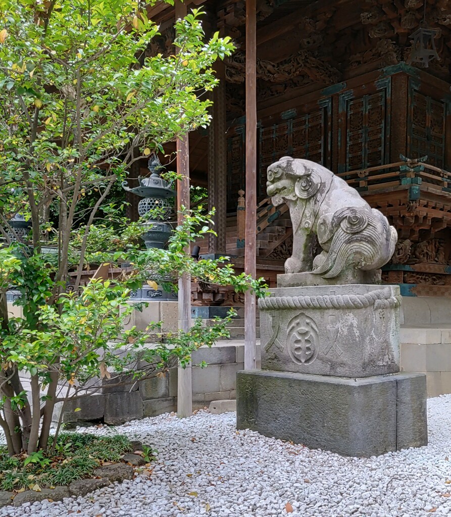 [狛犬]右