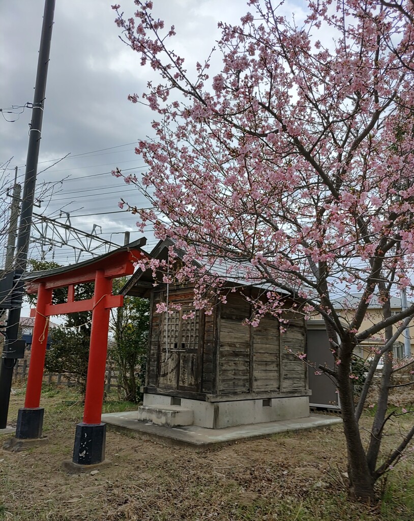 [神社]御霊