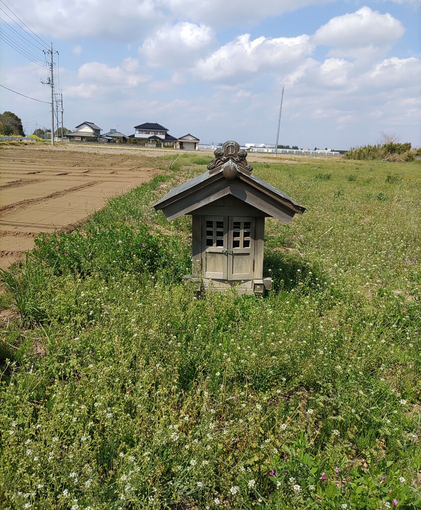 [？社]