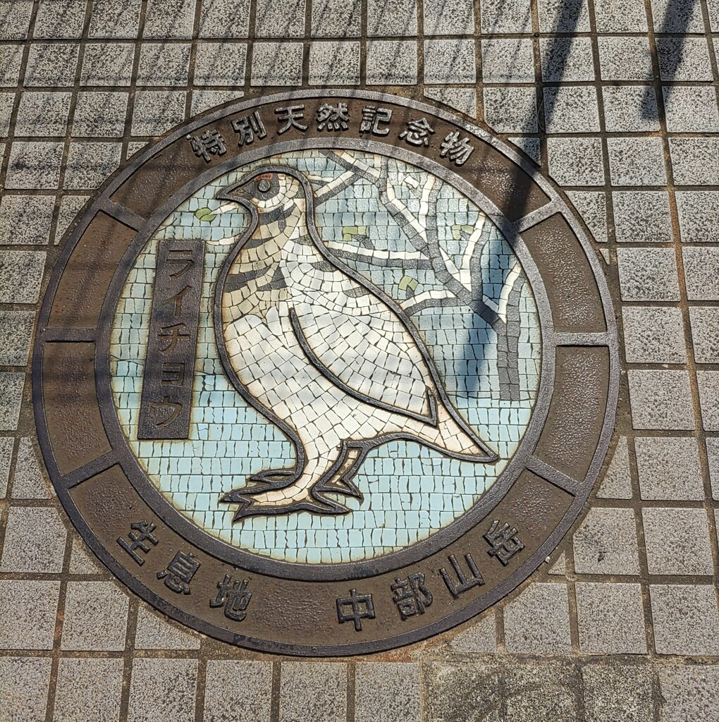 [足元]