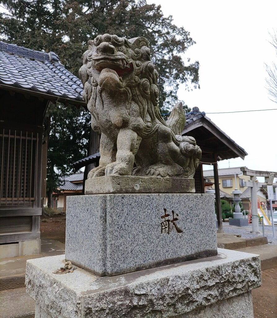 [狛犬]右