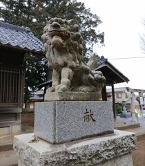 [狛犬]右