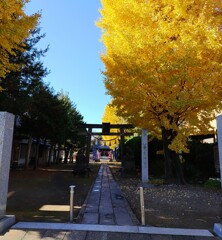 [幸宮神社]