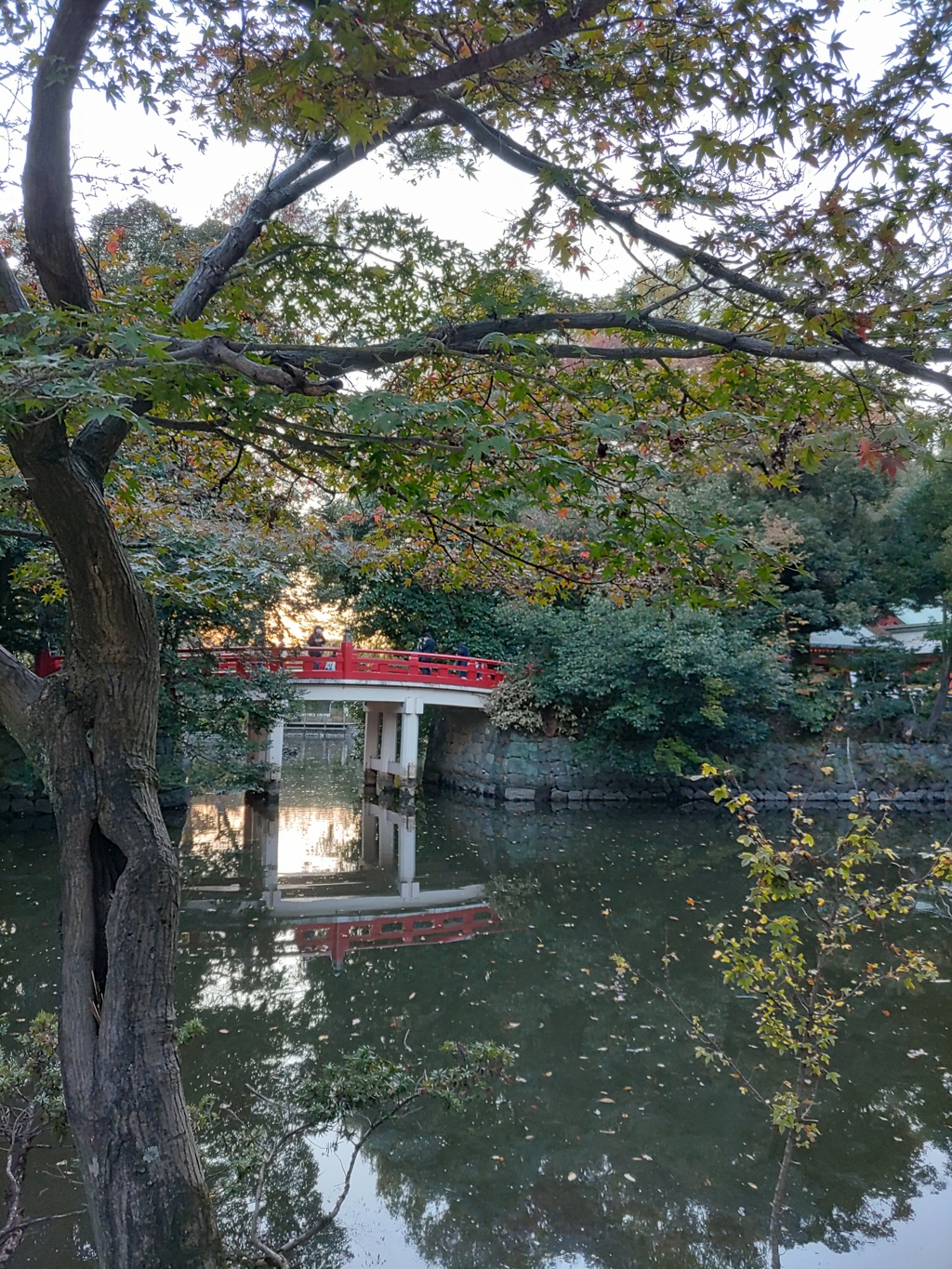 『池』神池