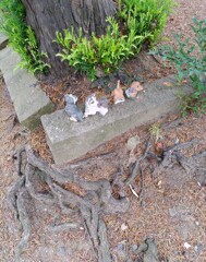 【ｵｳﾞｼﾞｪ】