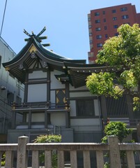 [柏神社]