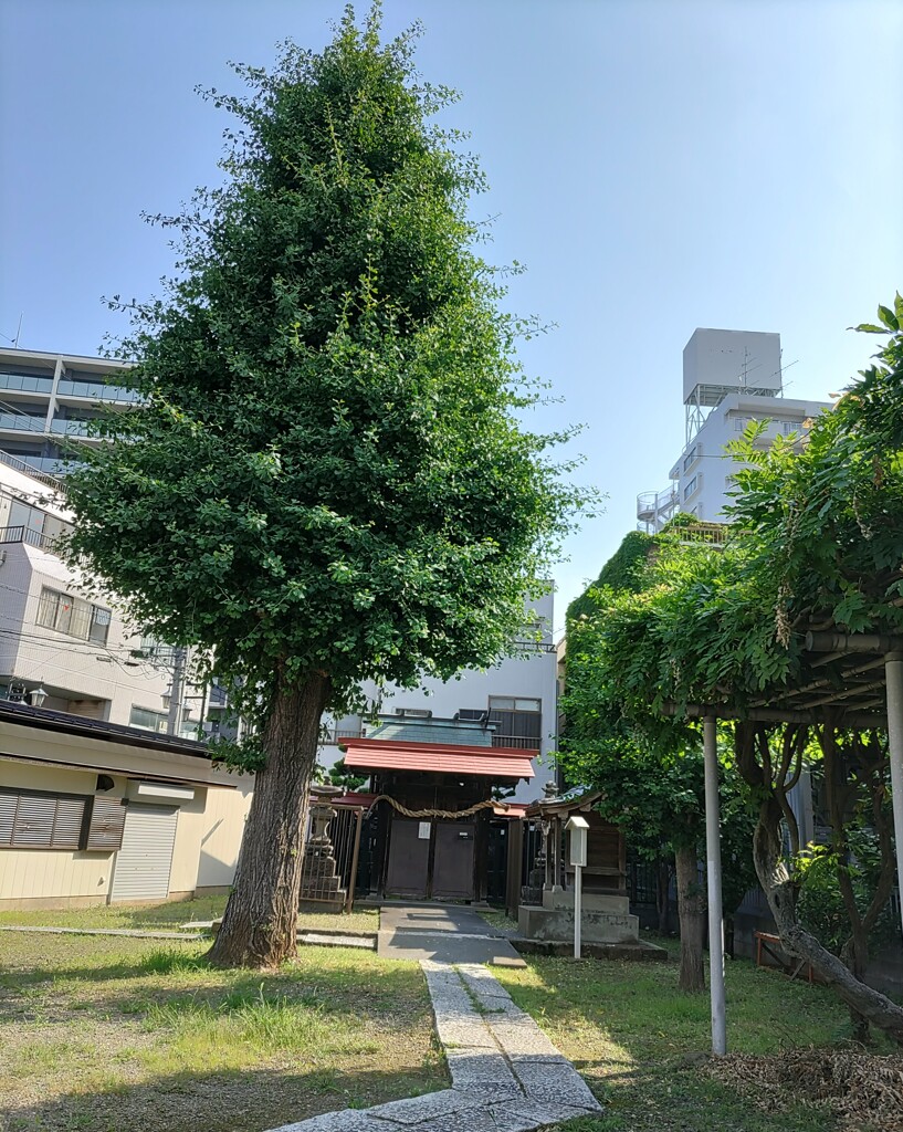 [神明社]