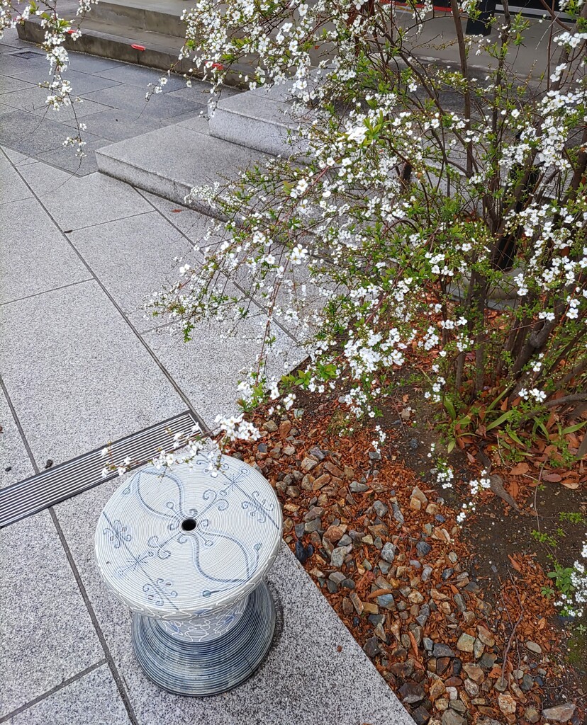 憩[椅子]