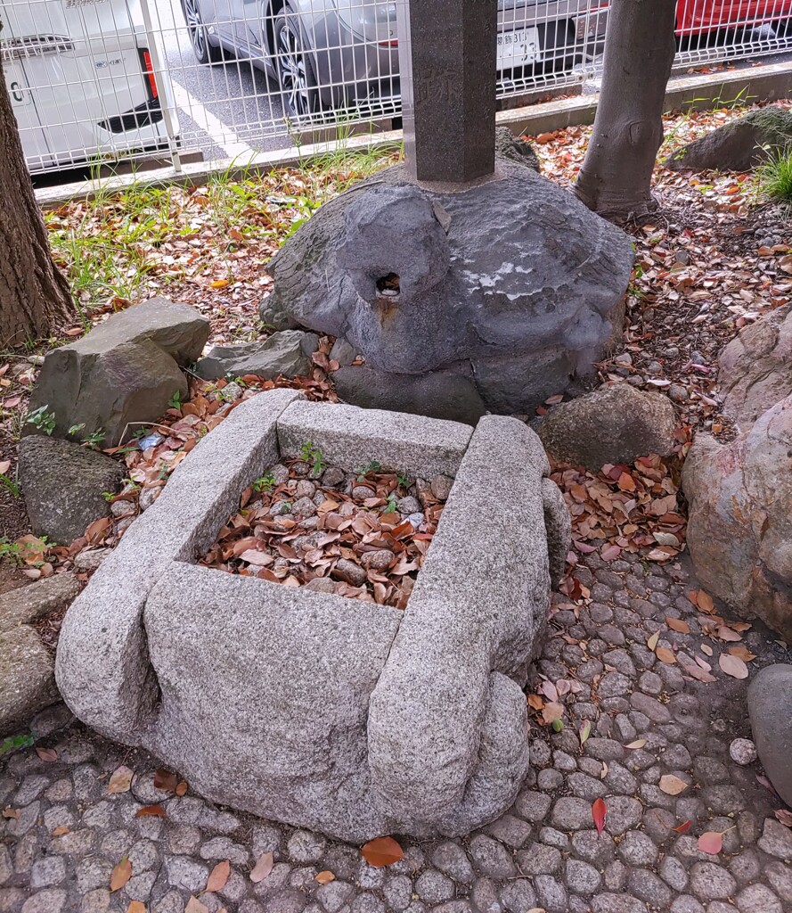 [亀ヶ井跡]