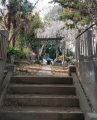 [神社]月讀