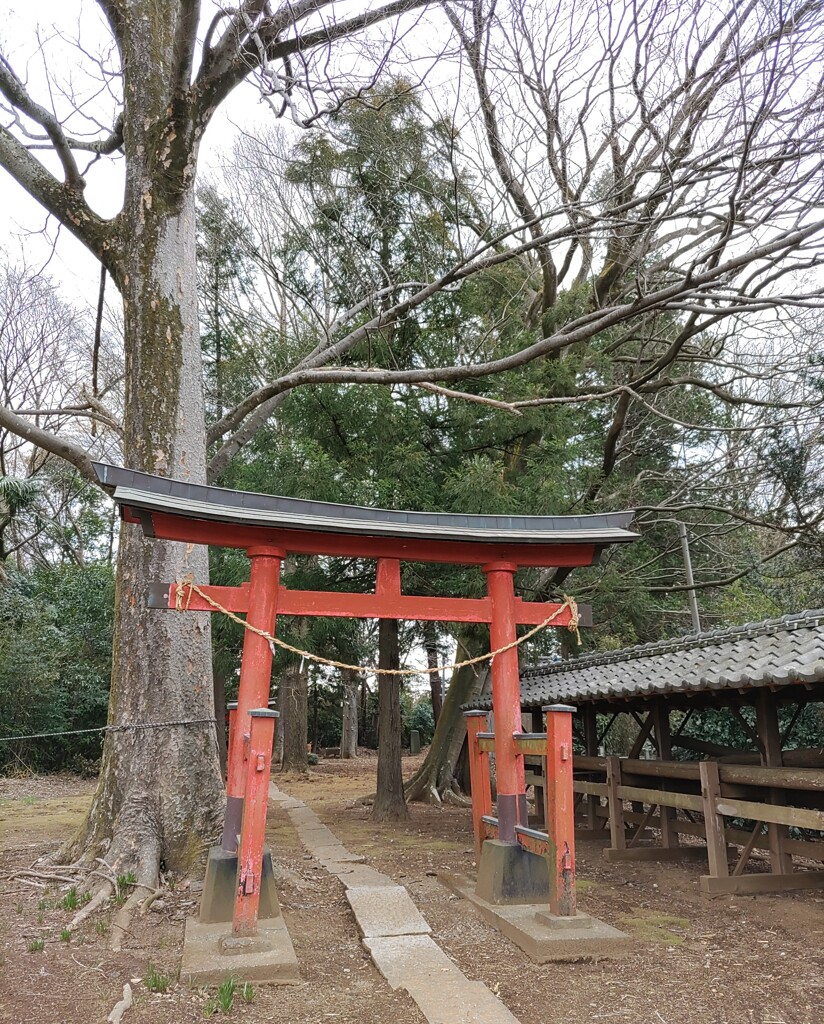 [太田神社]