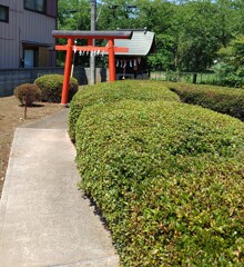 [稲荷神社]