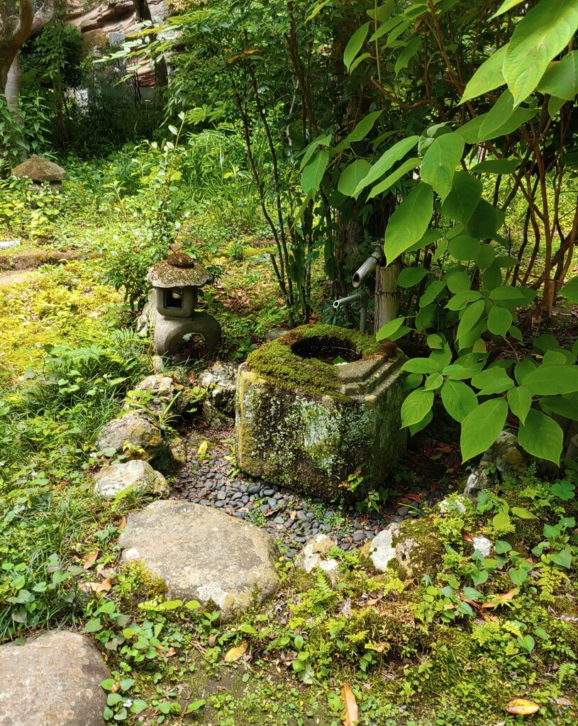 [蹲踞]