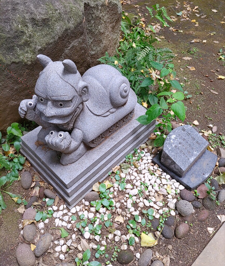 [眼球食鬼]