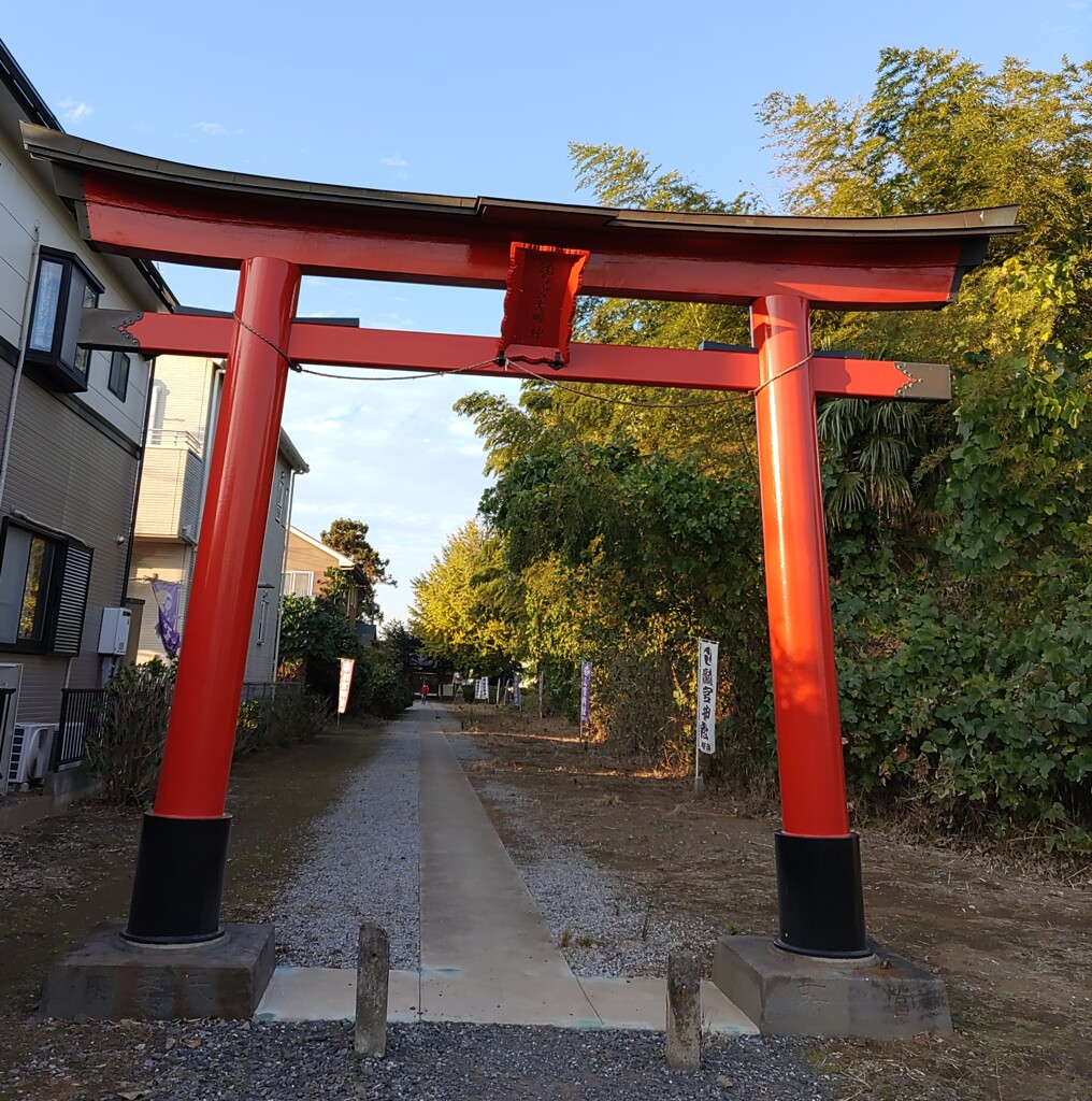 [鷲宮神社]