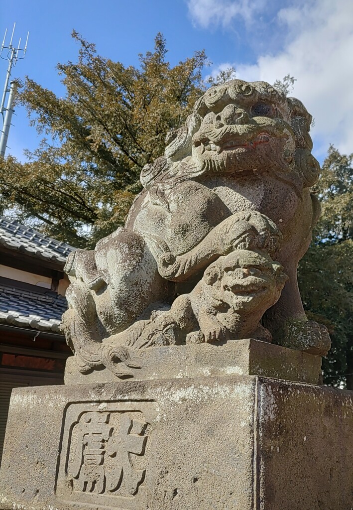 [狛犬]左