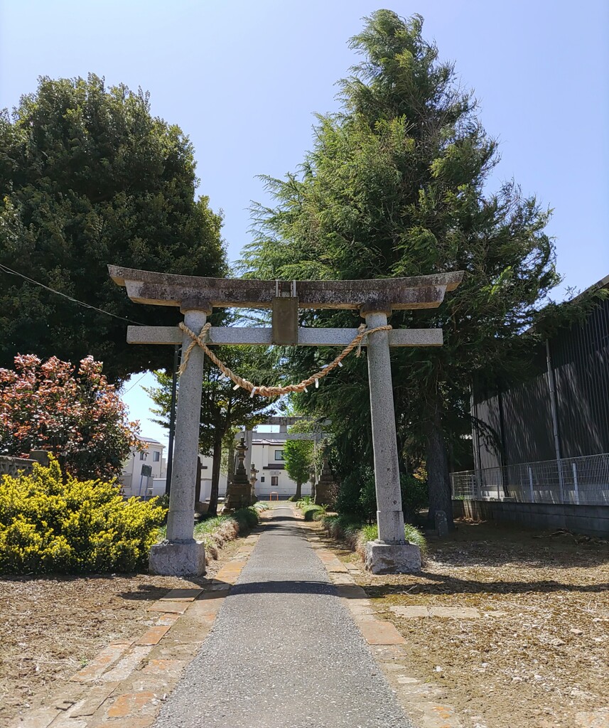 [雷電神社]