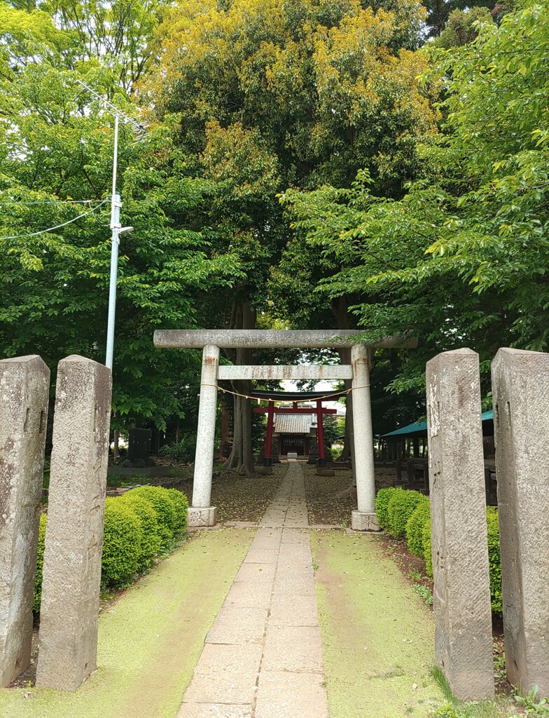 [神社]氷川