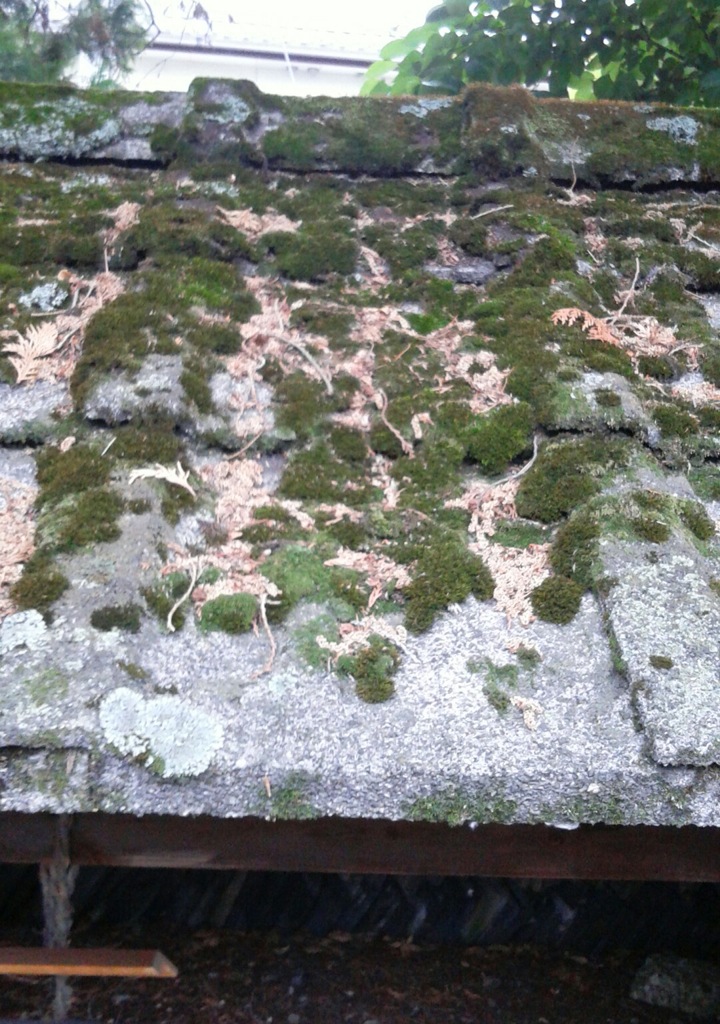 [屋根]