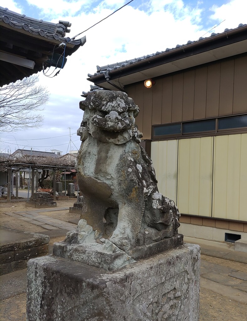 [狛犬]右