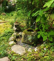 [手水鉢]