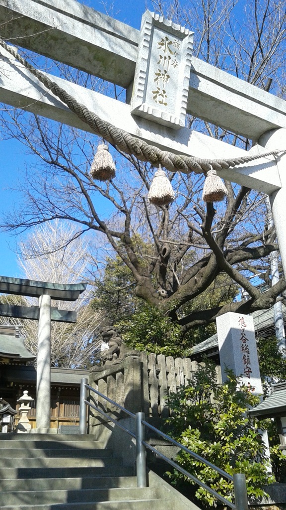 [氷川神社]