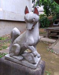 [神使]狐