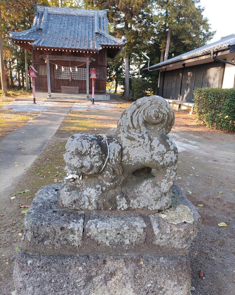 [狛犬]右