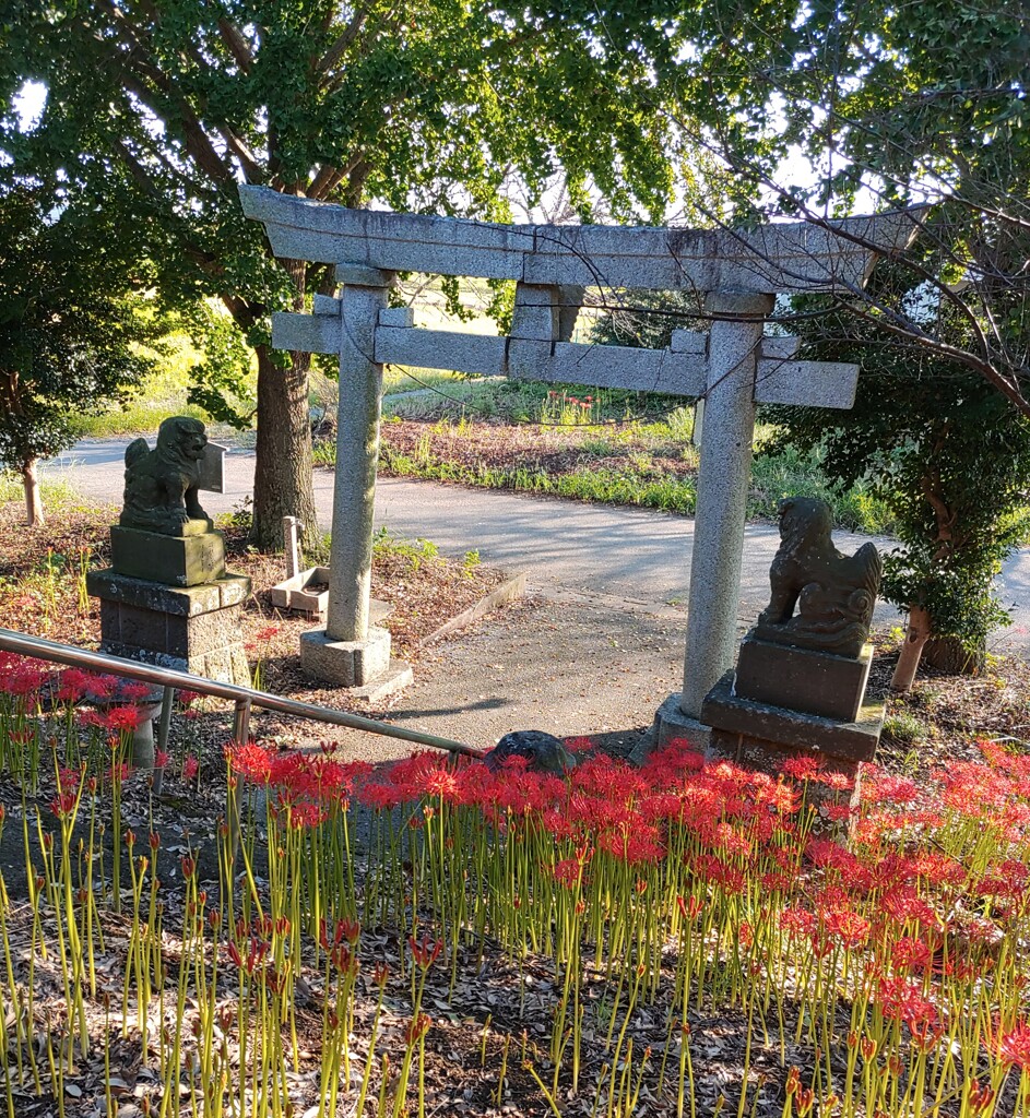 [神社]鷲