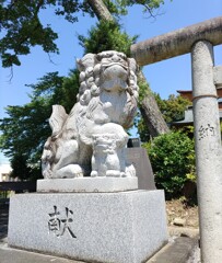 [狛犬]左