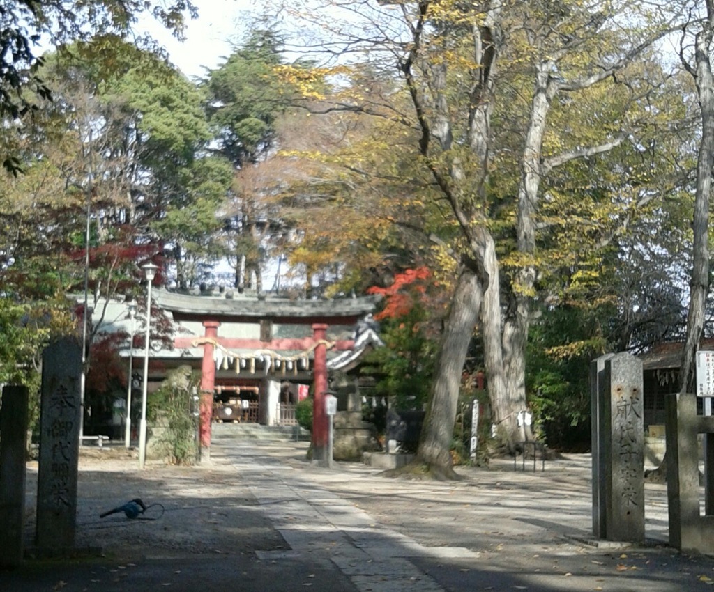 『氷川神社』