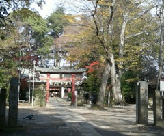 [神社]氷川