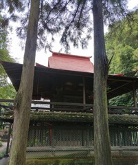 [神社]氷川