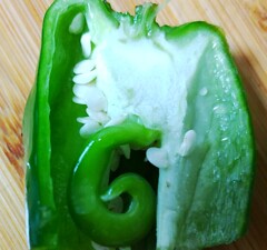 ｢ﾋﾟｰﾏﾝ｣