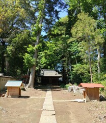 [氷川神社]