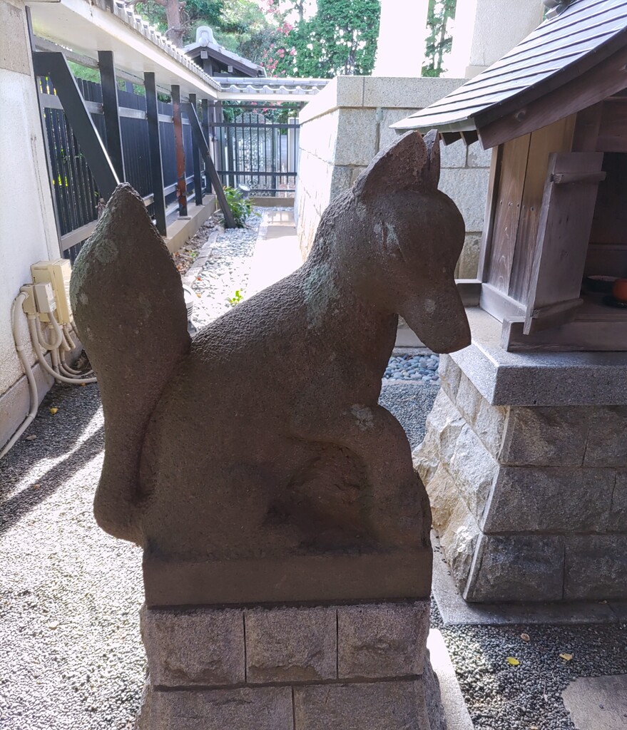 [神使]狐