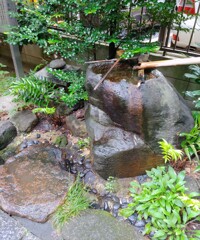 [蹲踞]