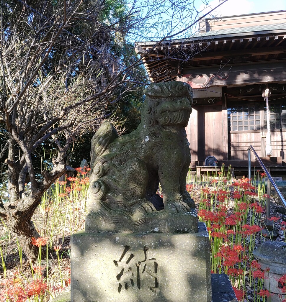 [狛犬]左