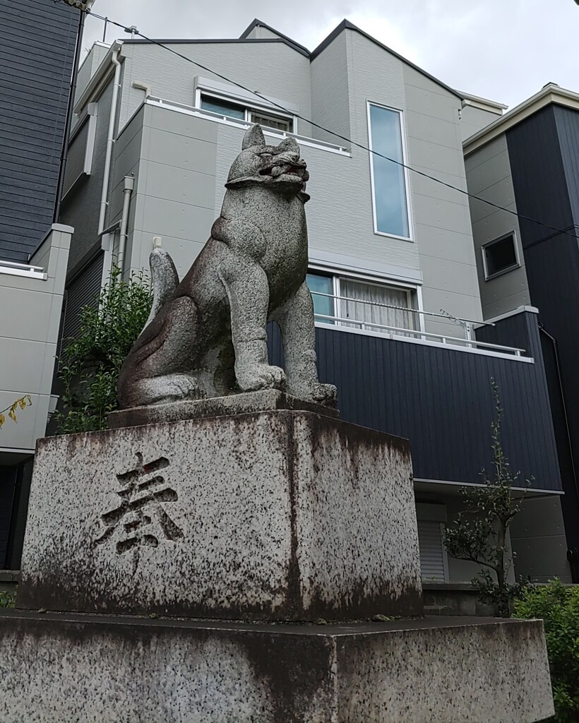 [神使]狐