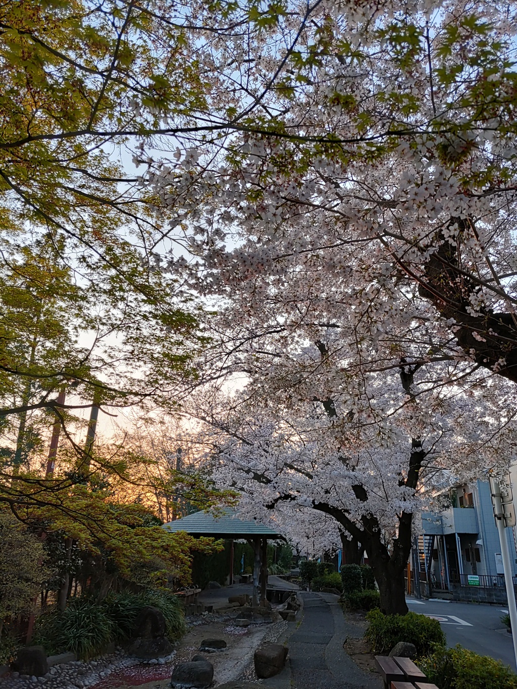 [径風景]