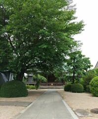 [寺院]