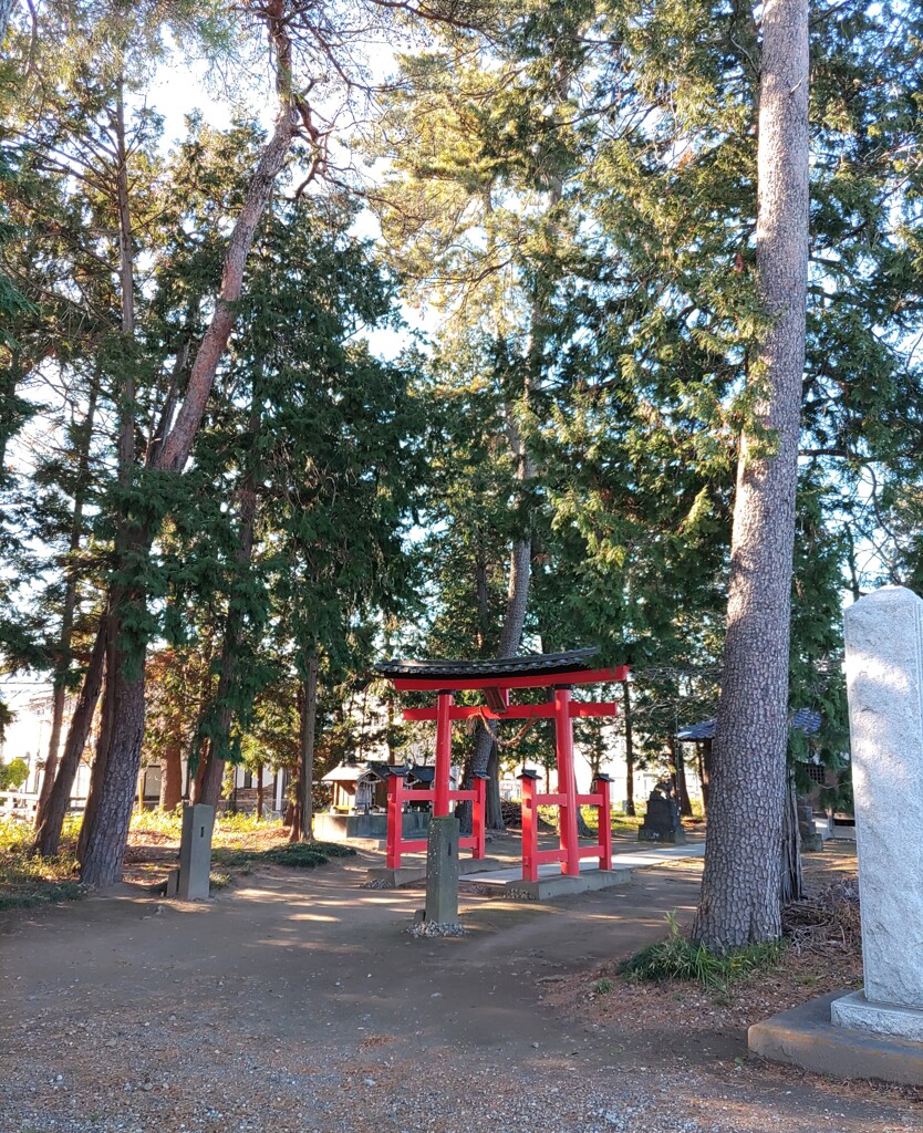 [久伊豆神社]