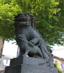 [狛犬]右