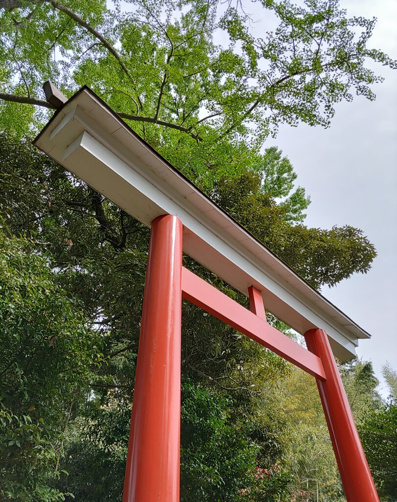 [久伊豆神社]