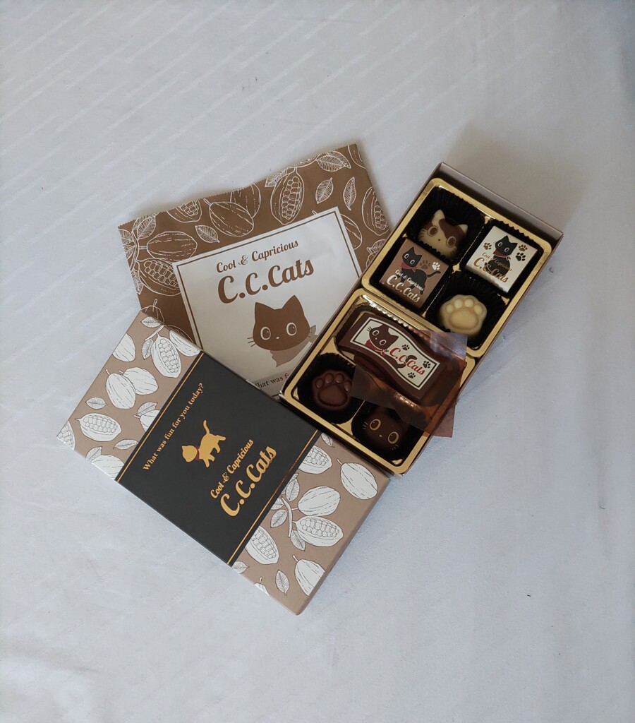 〈ﾁｮｺ〉