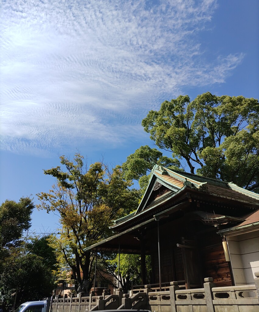 [神社]氷川