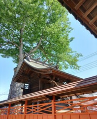 [橘神社]