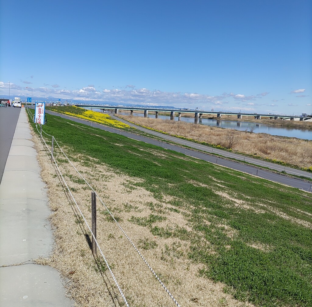 [渡]橋