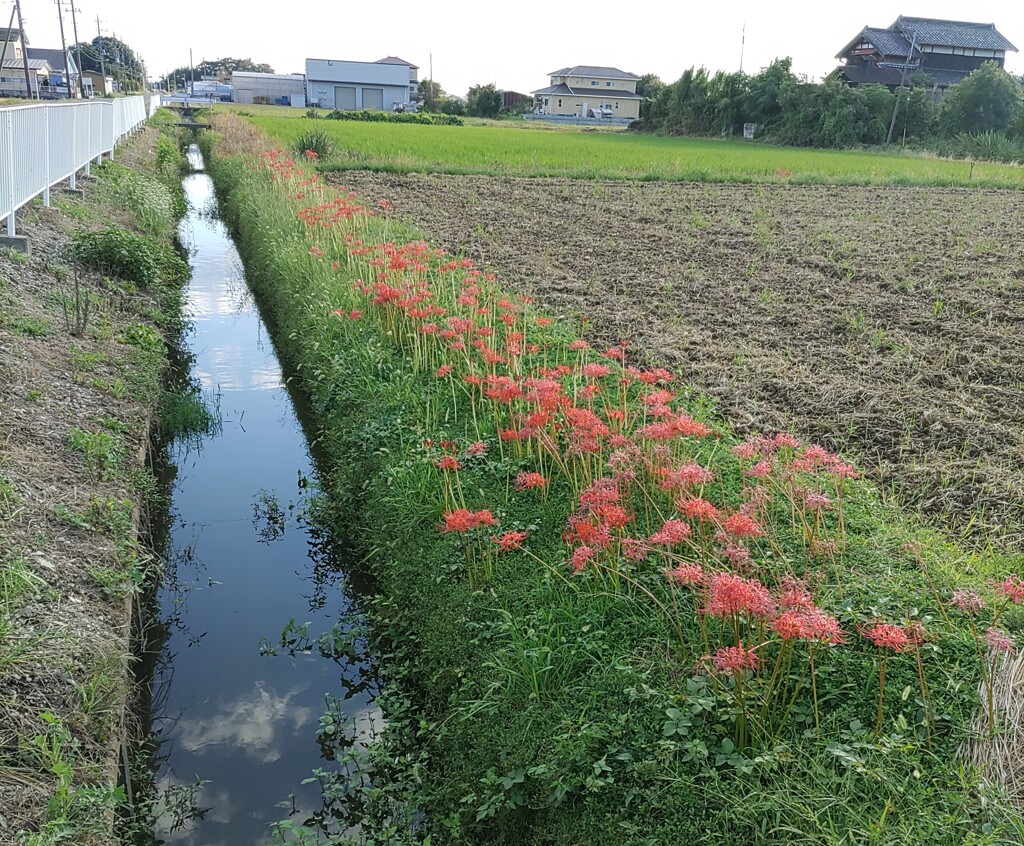 『水路』