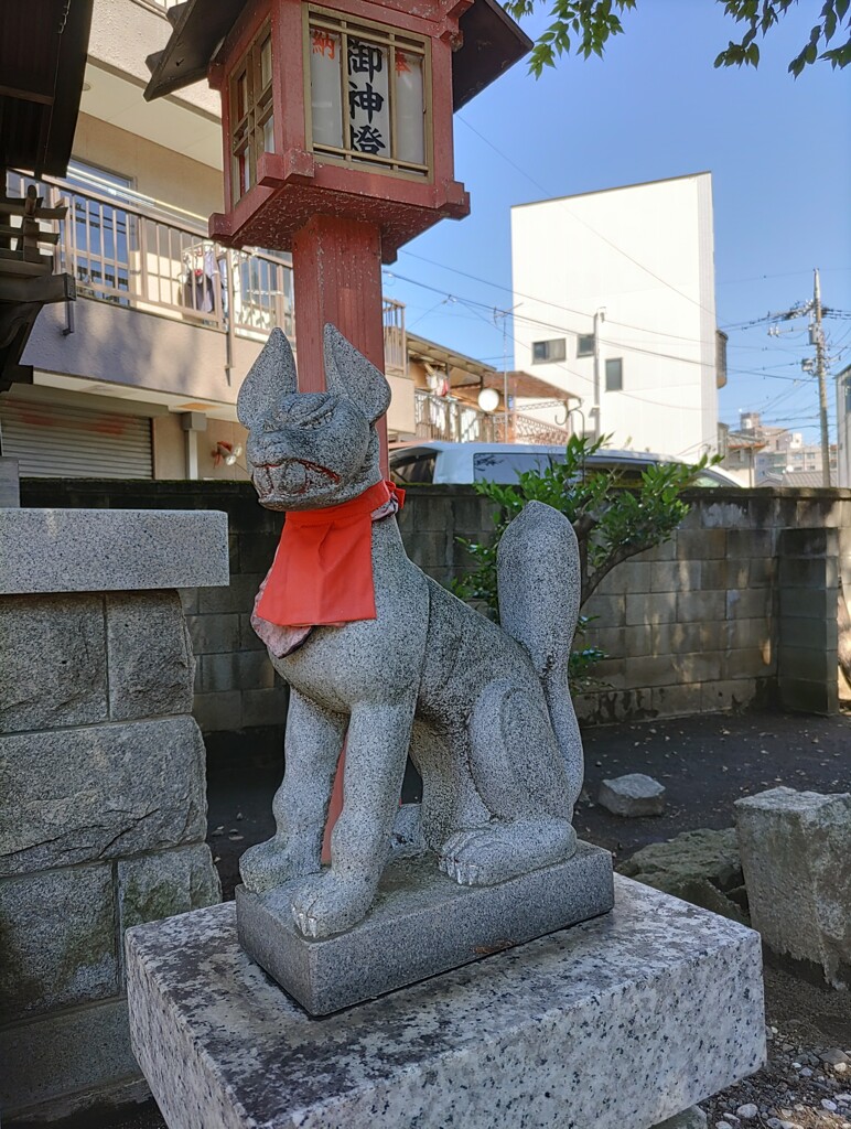[神使]狐